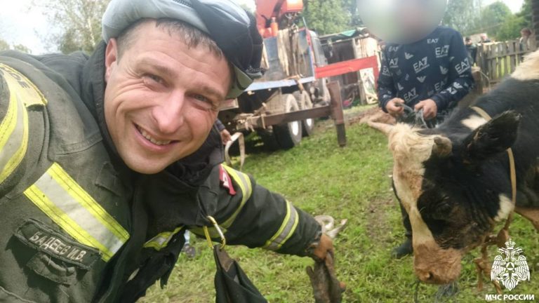 В Тверской области спасатели вытащили бычка из колодца