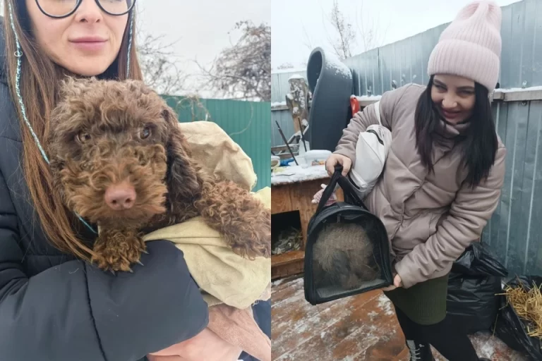 Тольятти: горожане забрали всех собак, спасённых волонтёрами из квартиры