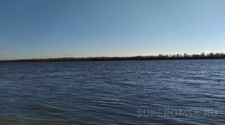 Студент колледжа вытащил из воды 12‑летнего мальчика
